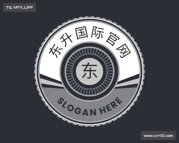 解读东升国际官网